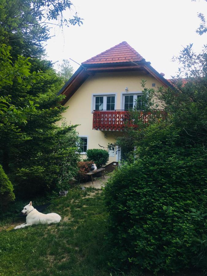 Nicehead Spacious Nest Between Maribor And Celje Loče pri Poljčanah 外观 照片