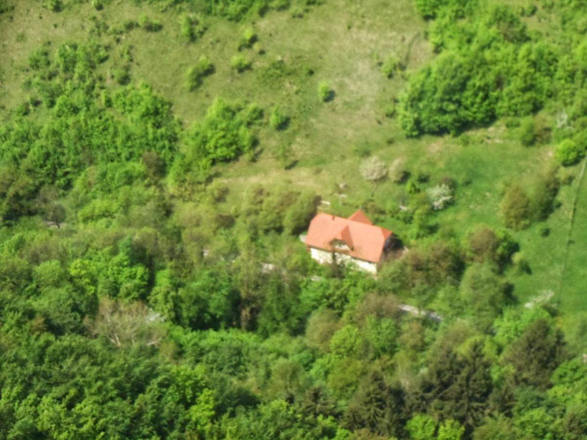 Nicehead Spacious Nest Between Maribor And Celje Loče pri Poljčanah 外观 照片