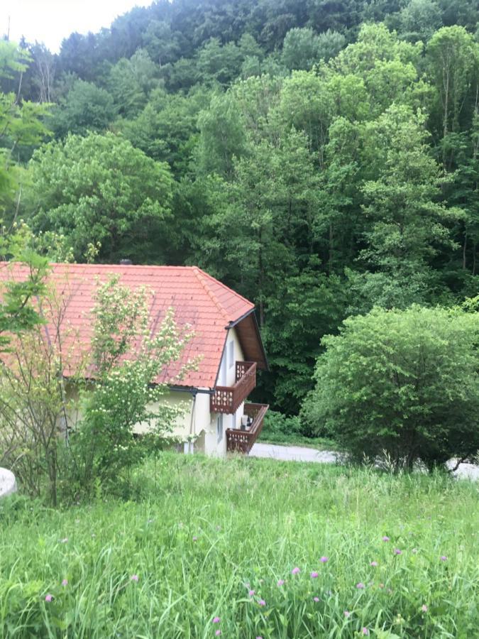 Nicehead Spacious Nest Between Maribor And Celje Loče pri Poljčanah 外观 照片
